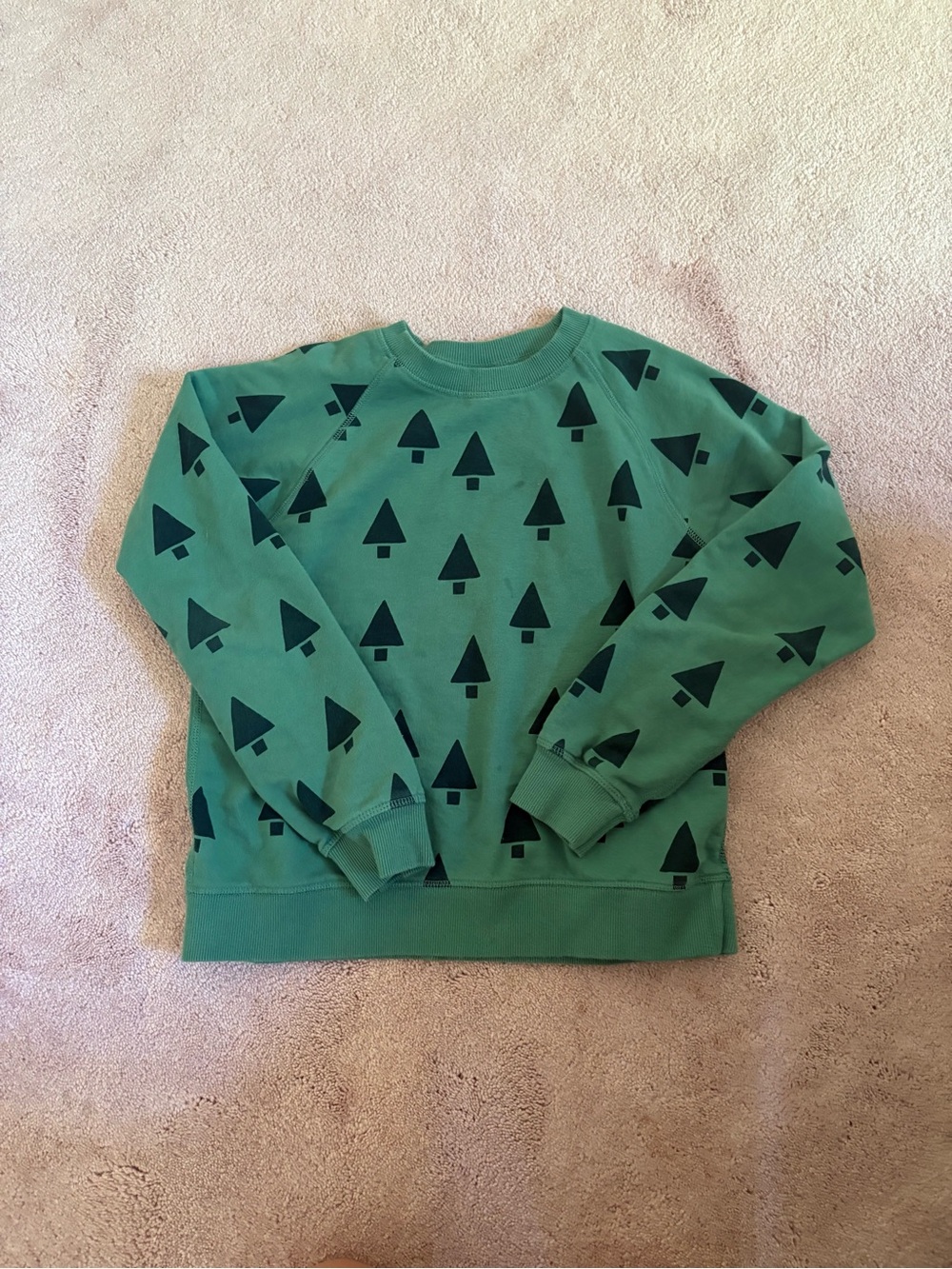Hanna Andersson Green Tree-Print Crewneck Sweatshirt - Youth 12